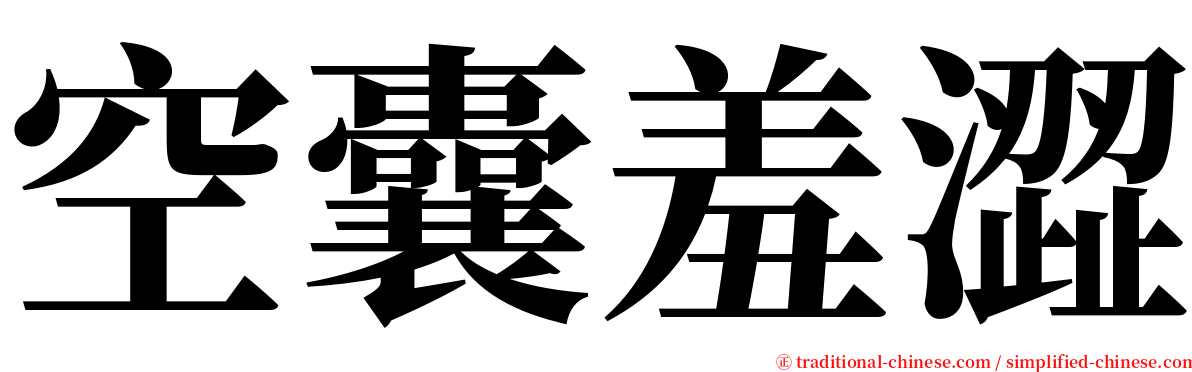 空囊羞澀 serif font