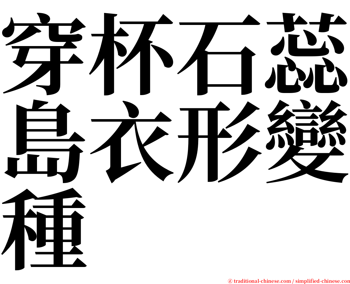 穿杯石蕊島衣形變種 serif font