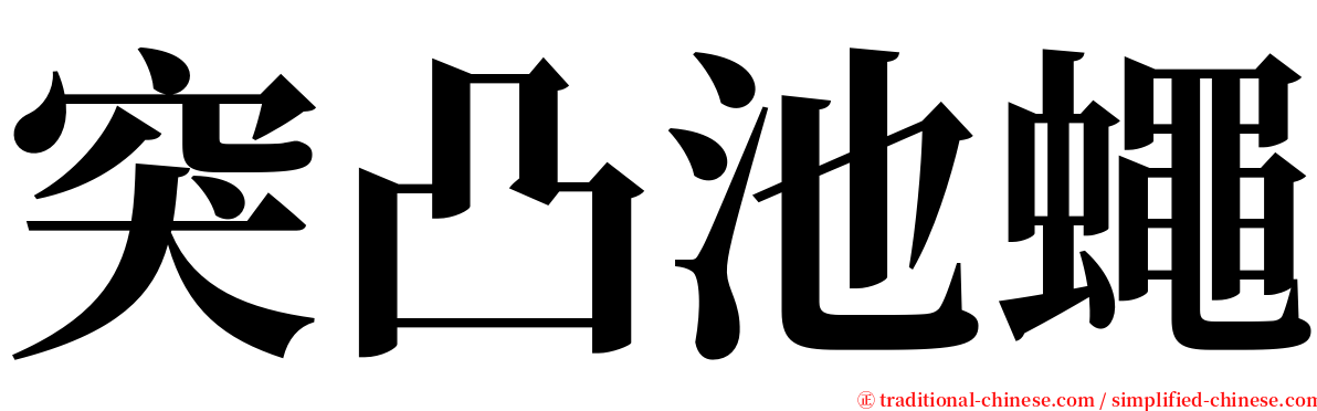 突凸池蠅 serif font