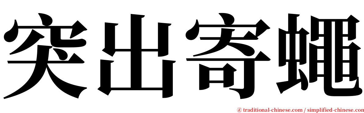 突出寄蠅 serif font