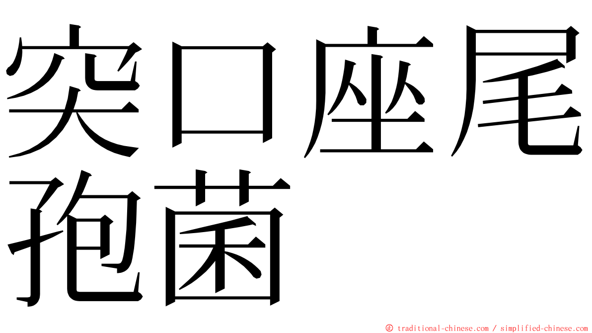 突口座尾孢菌 ming font