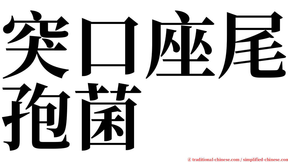 突口座尾孢菌 serif font