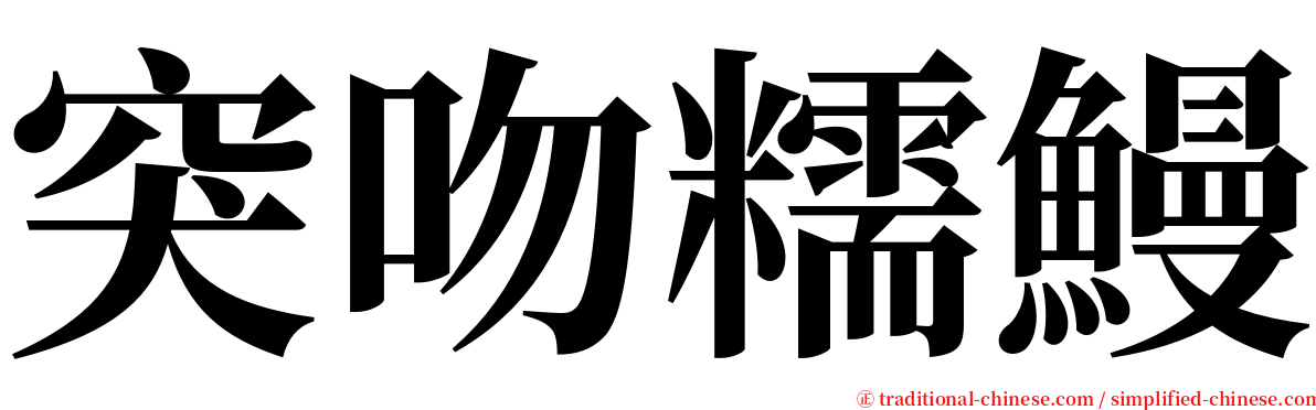 突吻糯鰻 serif font