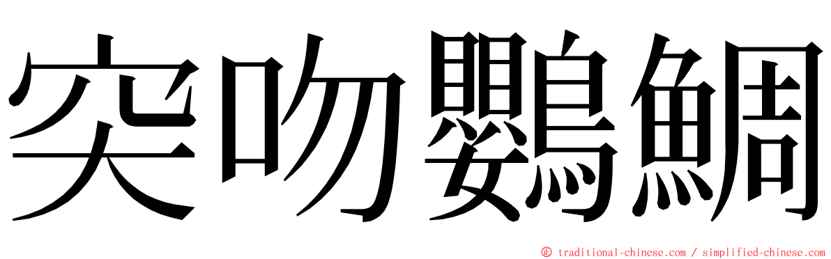 突吻鸚鯛 ming font