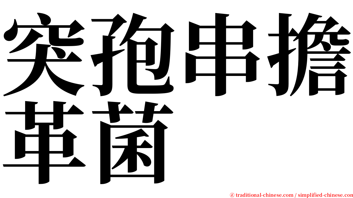 突孢串擔革菌 serif font