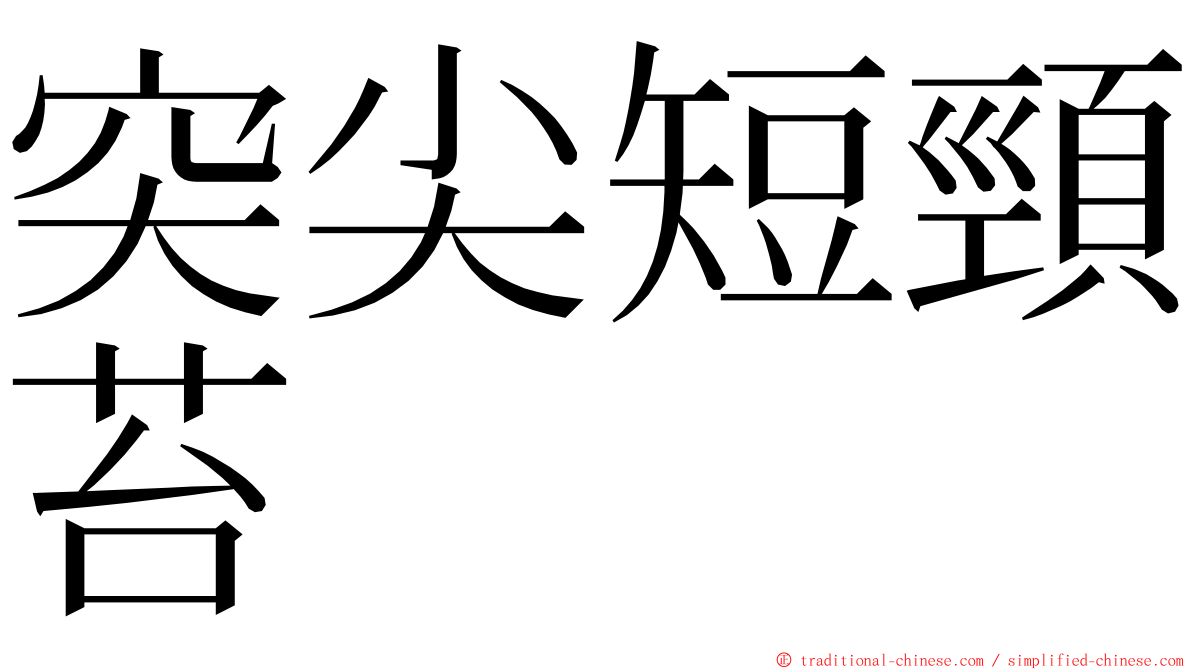 突尖短頸苔 ming font