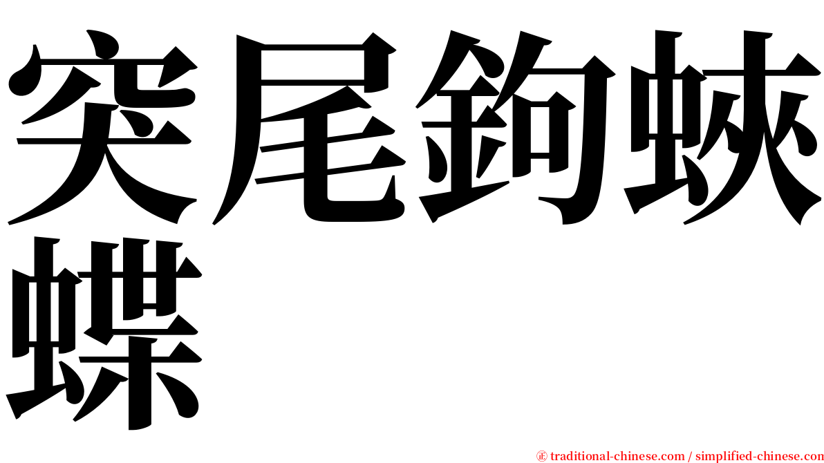 突尾鉤蛺蝶 serif font