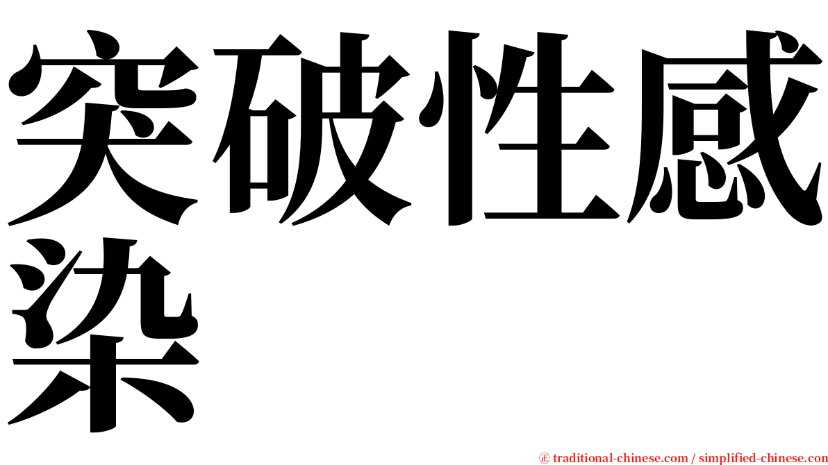 突破性感染 serif font