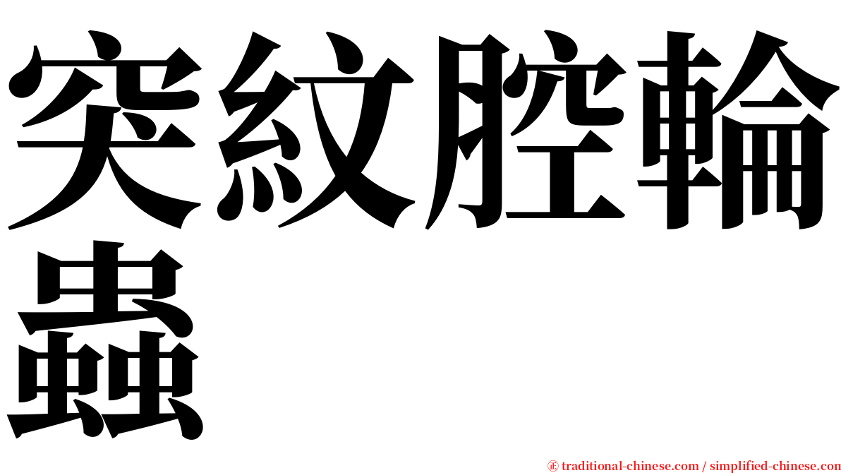 突紋腔輪蟲 serif font