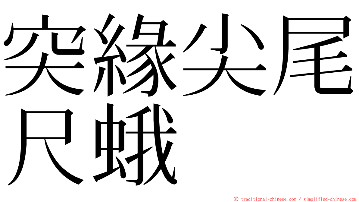 突緣尖尾尺蛾 ming font