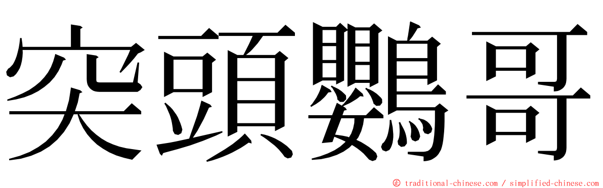 突頭鸚哥 ming font