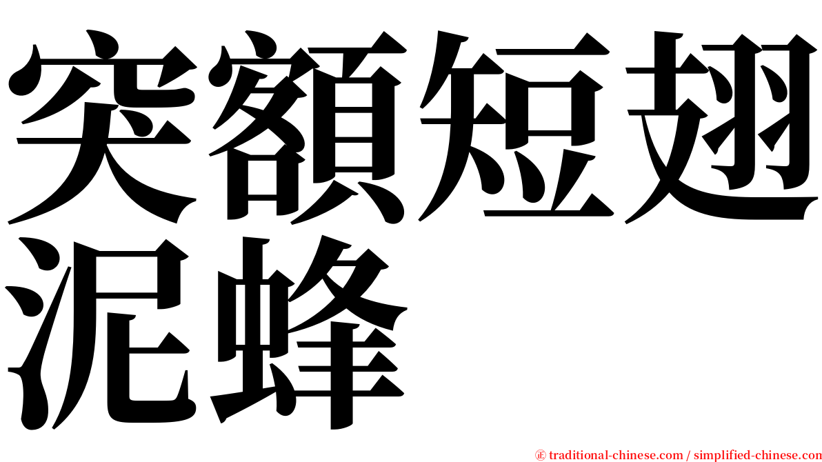 突額短翅泥蜂 serif font