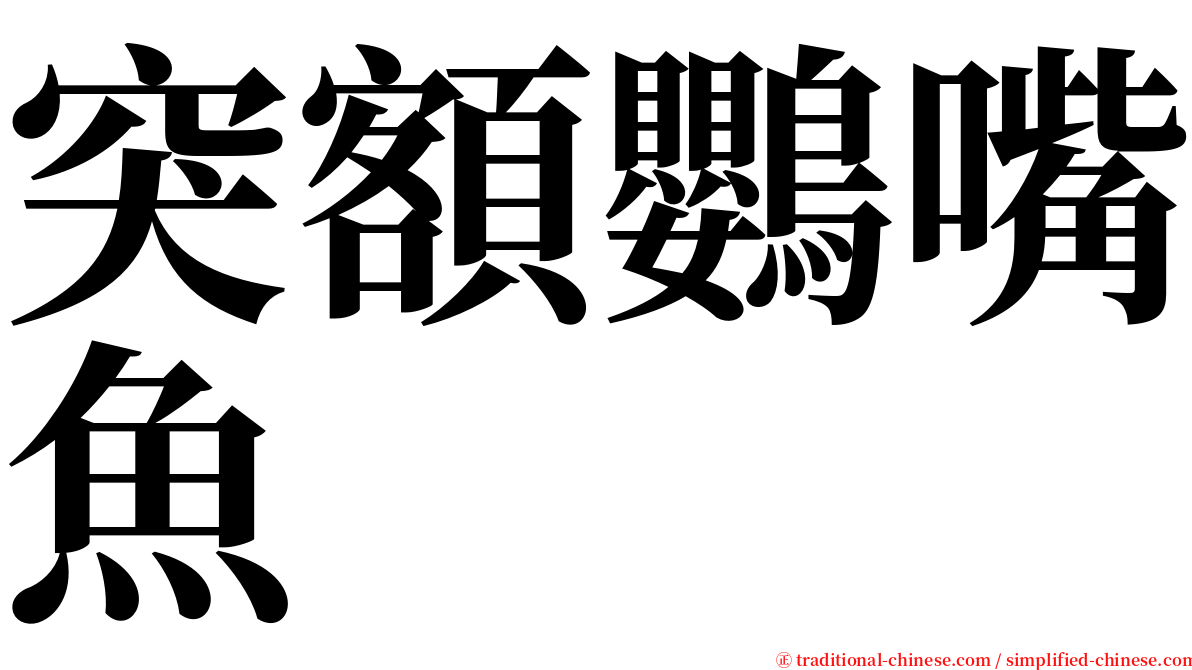 突額鸚嘴魚 serif font