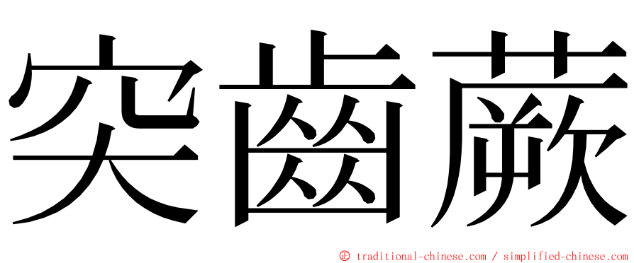 突齒蕨 ming font