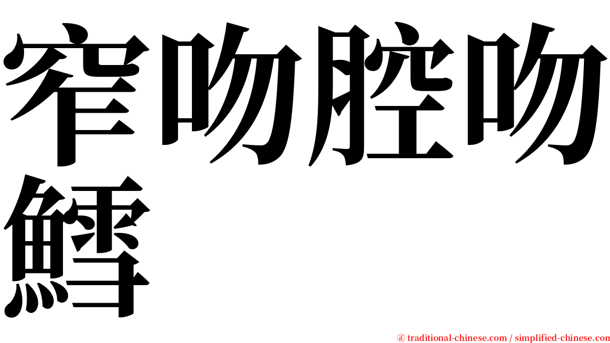 窄吻腔吻鱈 serif font