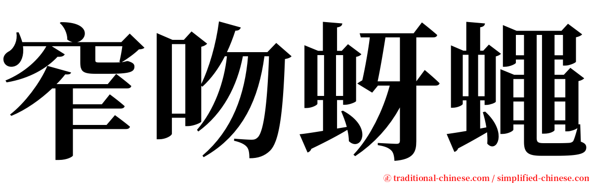 窄吻蚜蠅 serif font