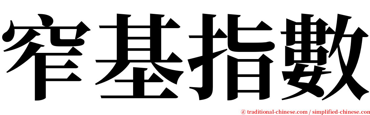 窄基指數 serif font