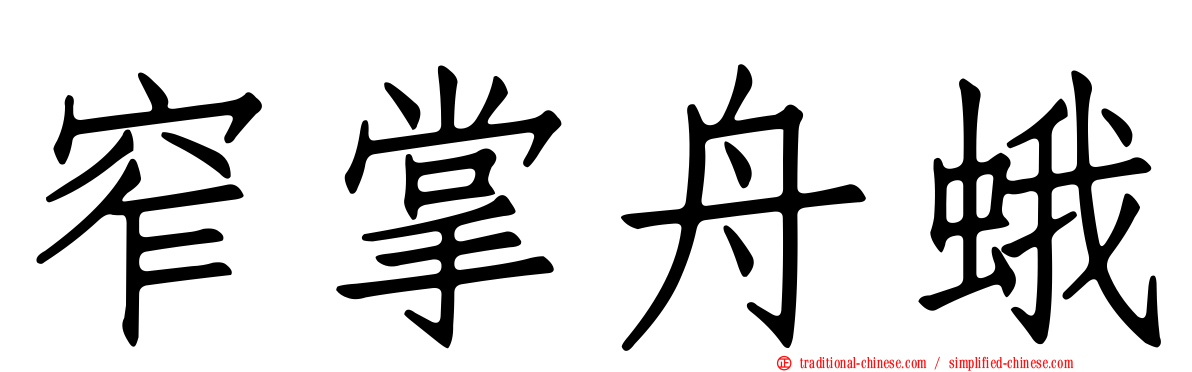窄掌舟蛾