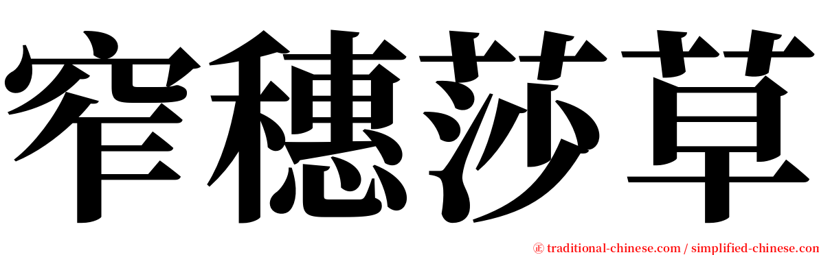 窄穗莎草 serif font
