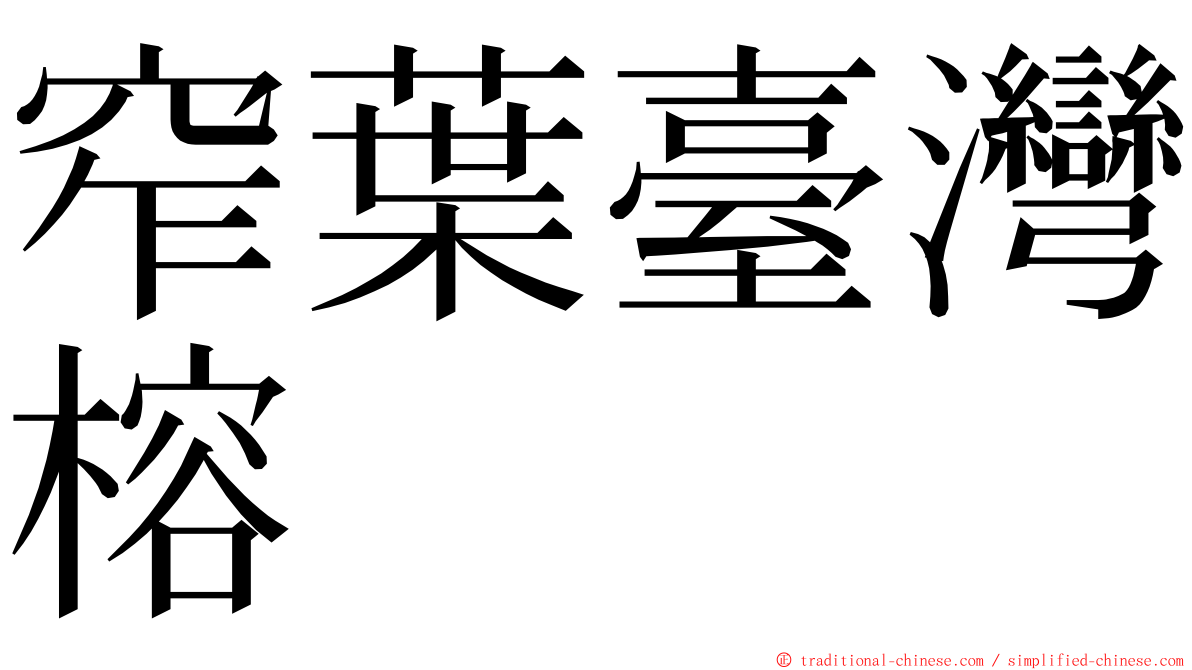 窄葉臺灣榕 ming font