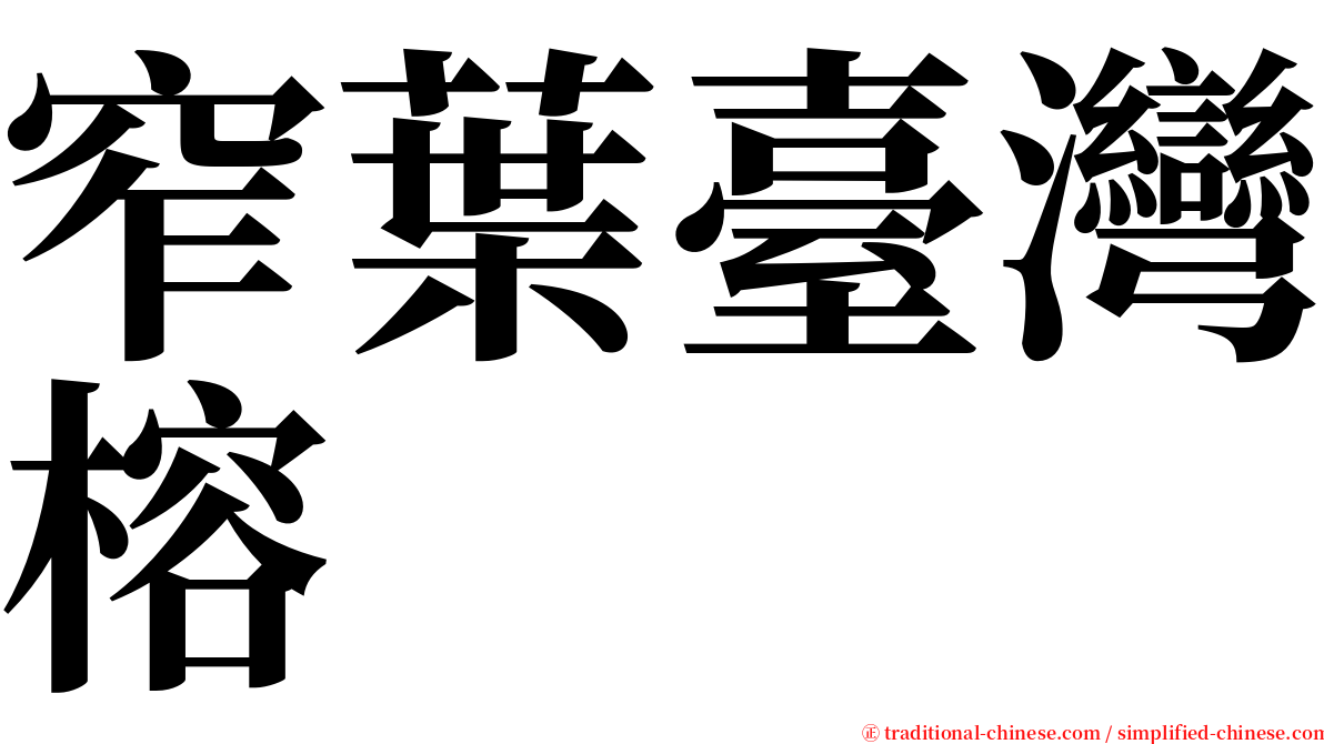 窄葉臺灣榕 serif font
