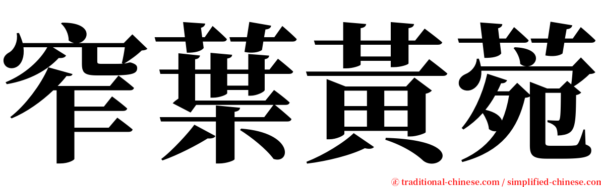 窄葉黃菀 serif font