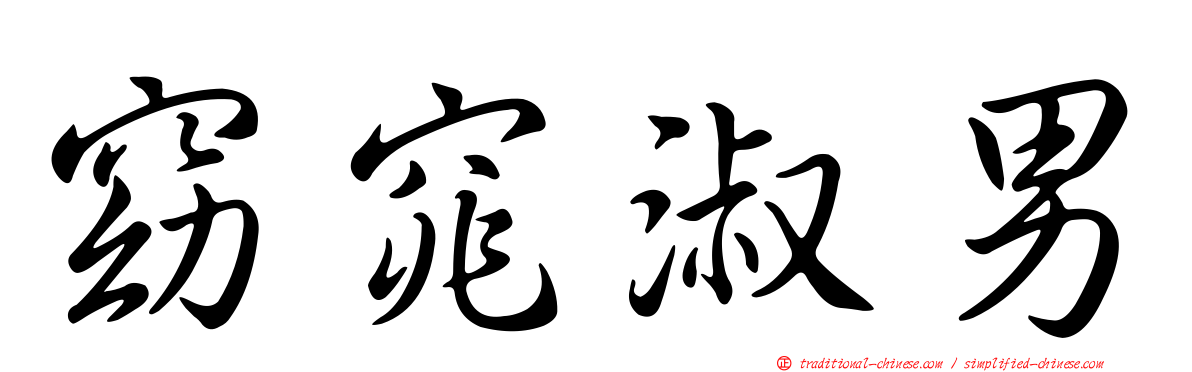 窈窕淑男
