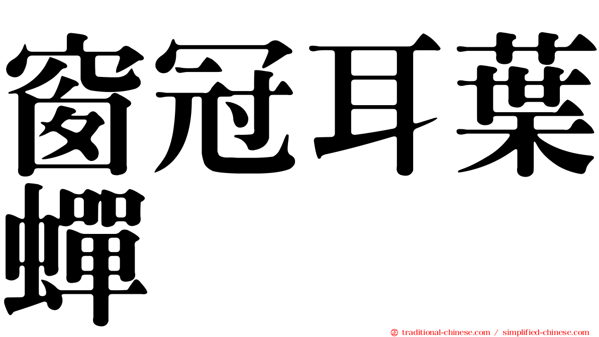窗冠耳葉蟬