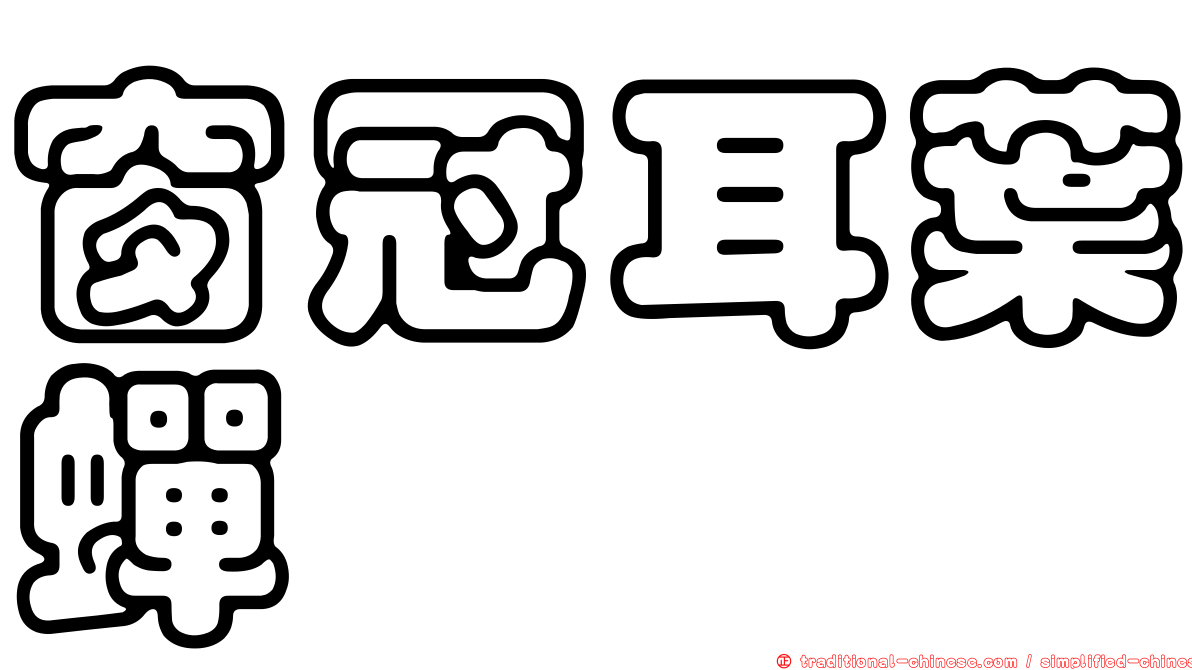 窗冠耳葉蟬