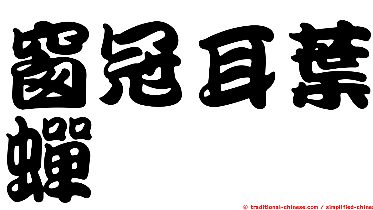 窗冠耳葉蟬