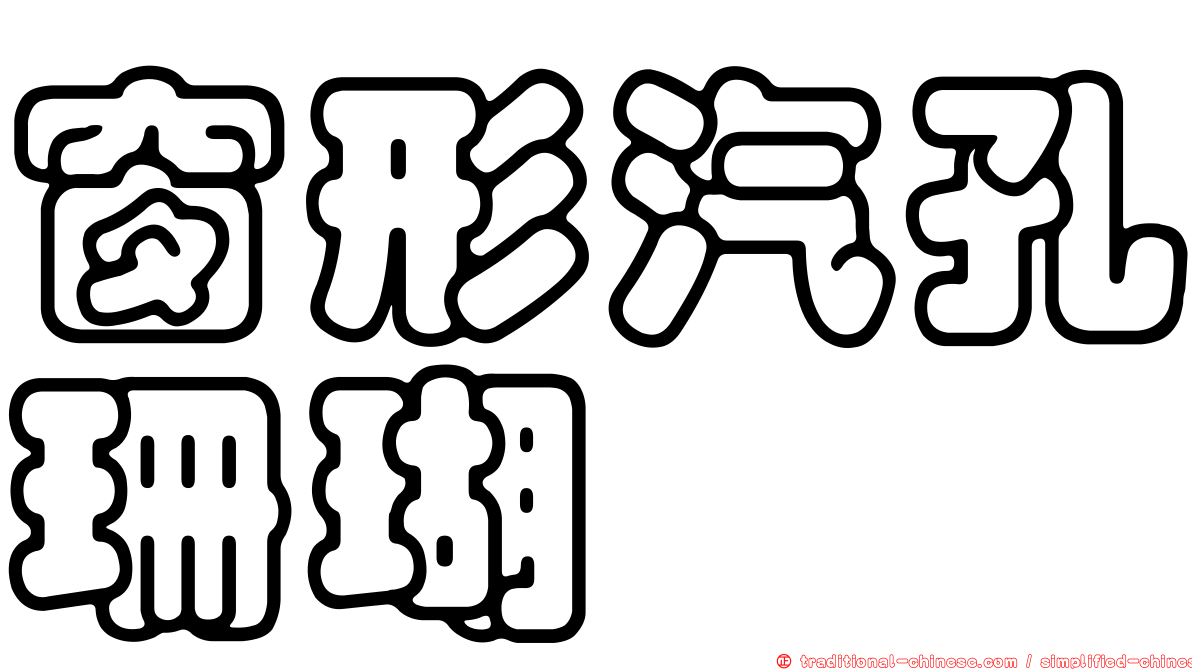 窗形汽孔珊瑚