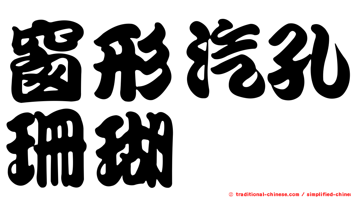 窗形汽孔珊瑚