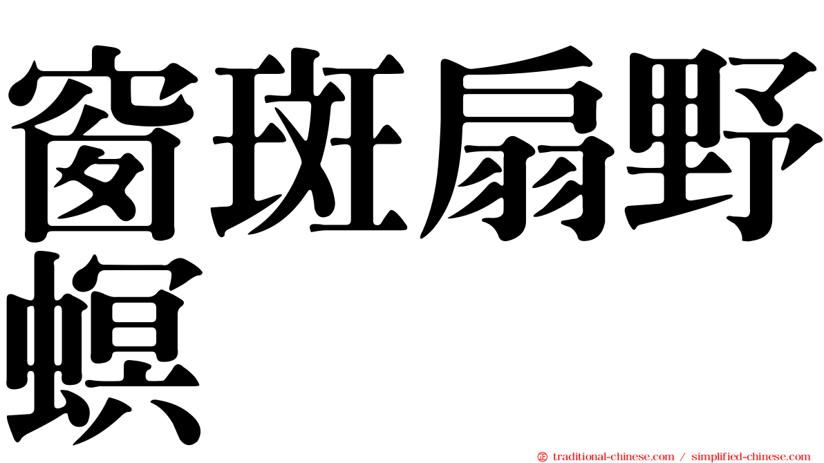 窗斑扇野螟