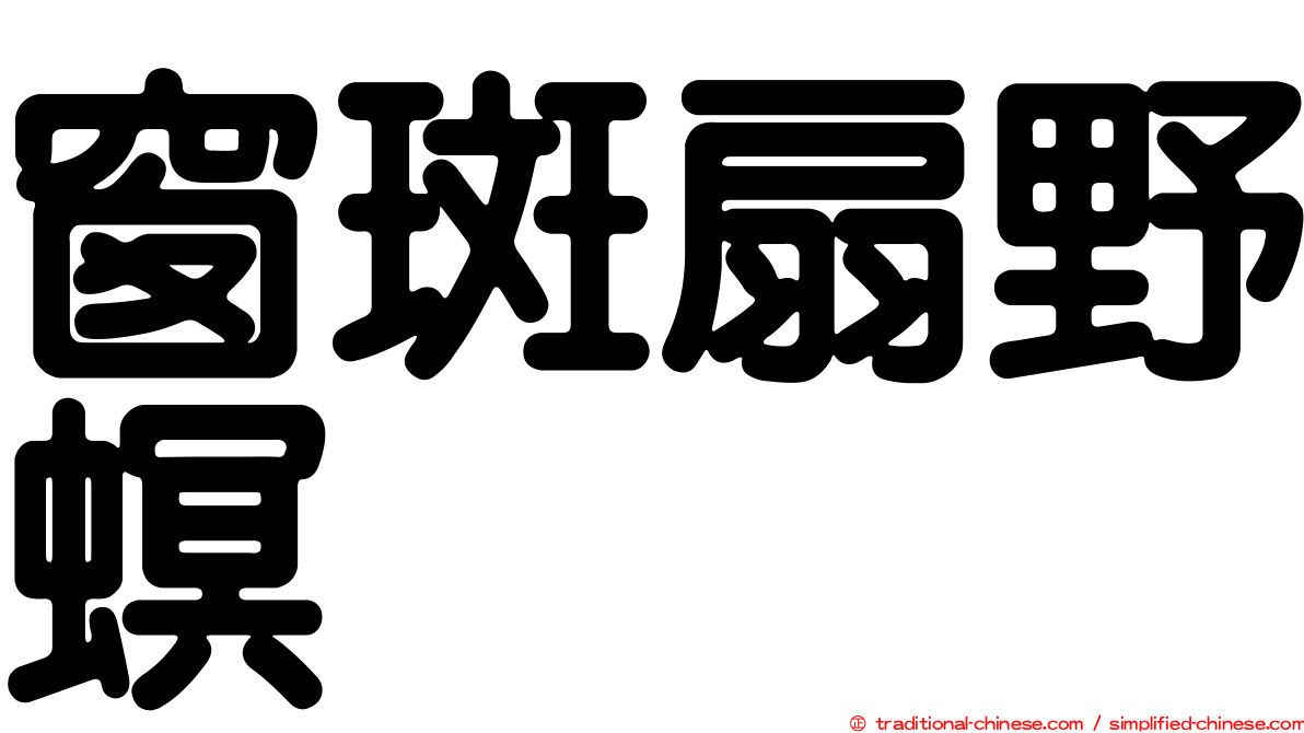 窗斑扇野螟