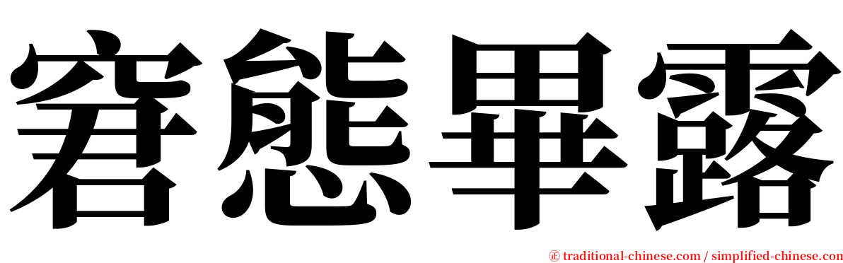 窘態畢露 serif font