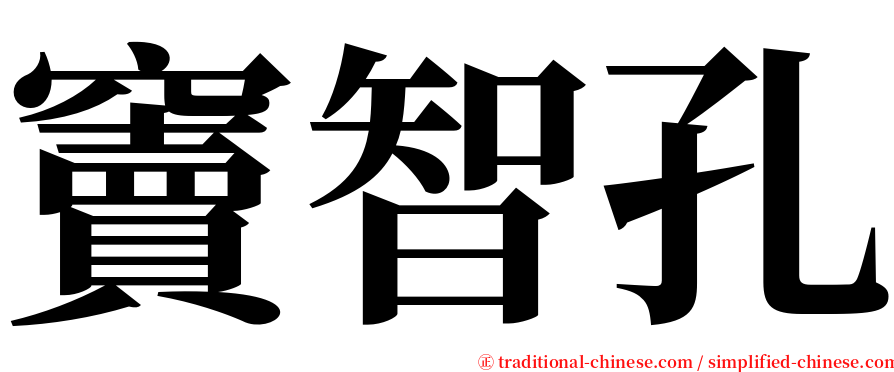 竇智孔 serif font