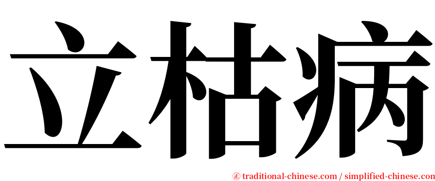 立枯病 serif font