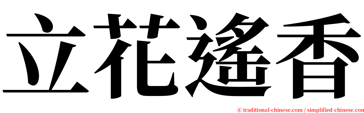 立花遙香 serif font