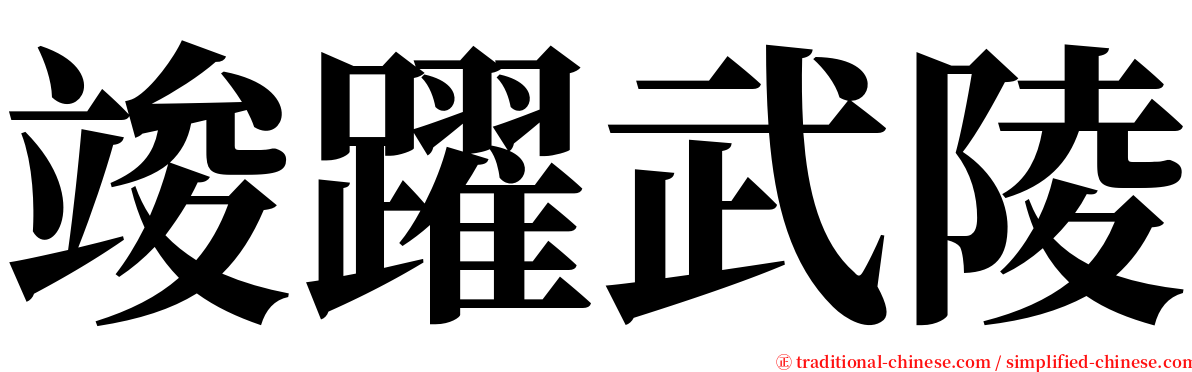 竣躍武陵 serif font