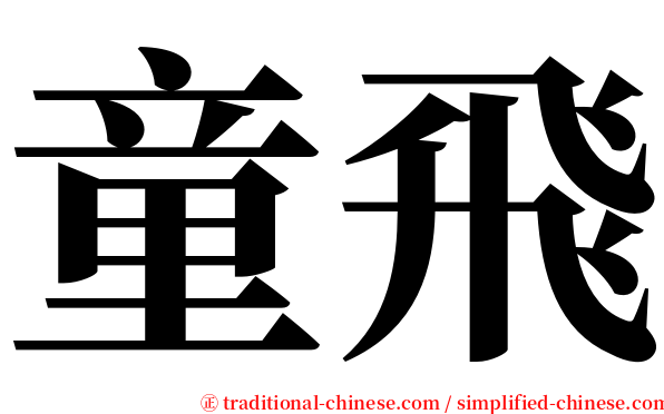 童飛 serif font