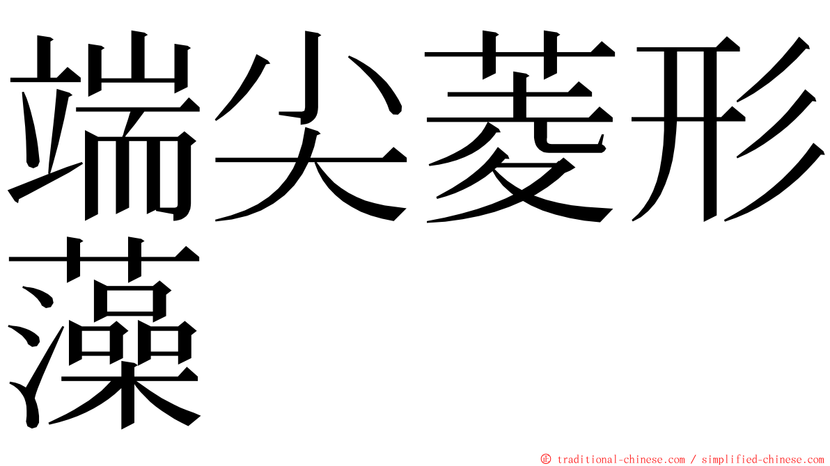 端尖菱形藻 ming font