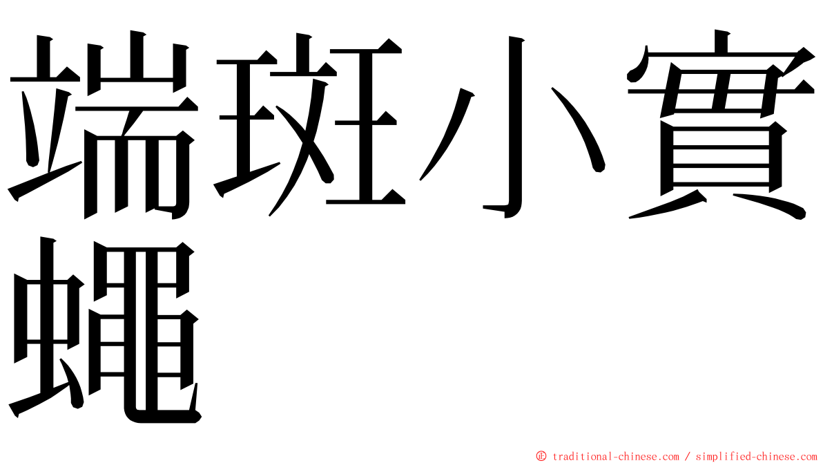 端斑小實蠅 ming font