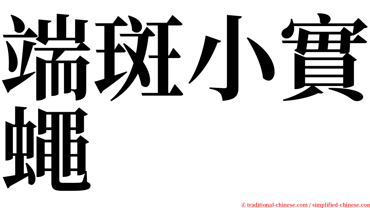 端斑小實蠅 serif font