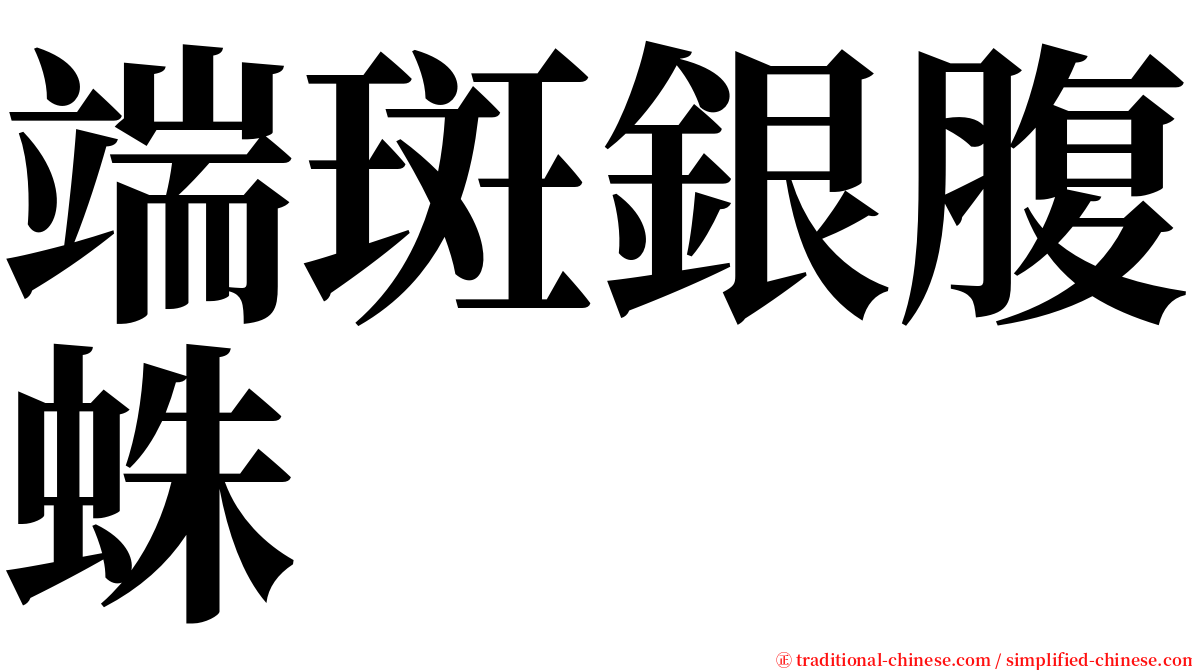 端斑銀腹蛛 serif font