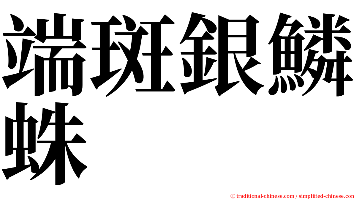 端斑銀鱗蛛 serif font