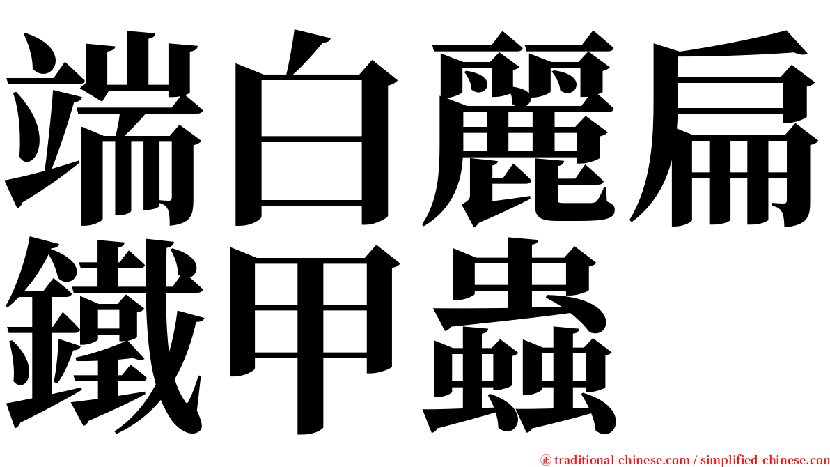 端白麗扁鐵甲蟲 serif font