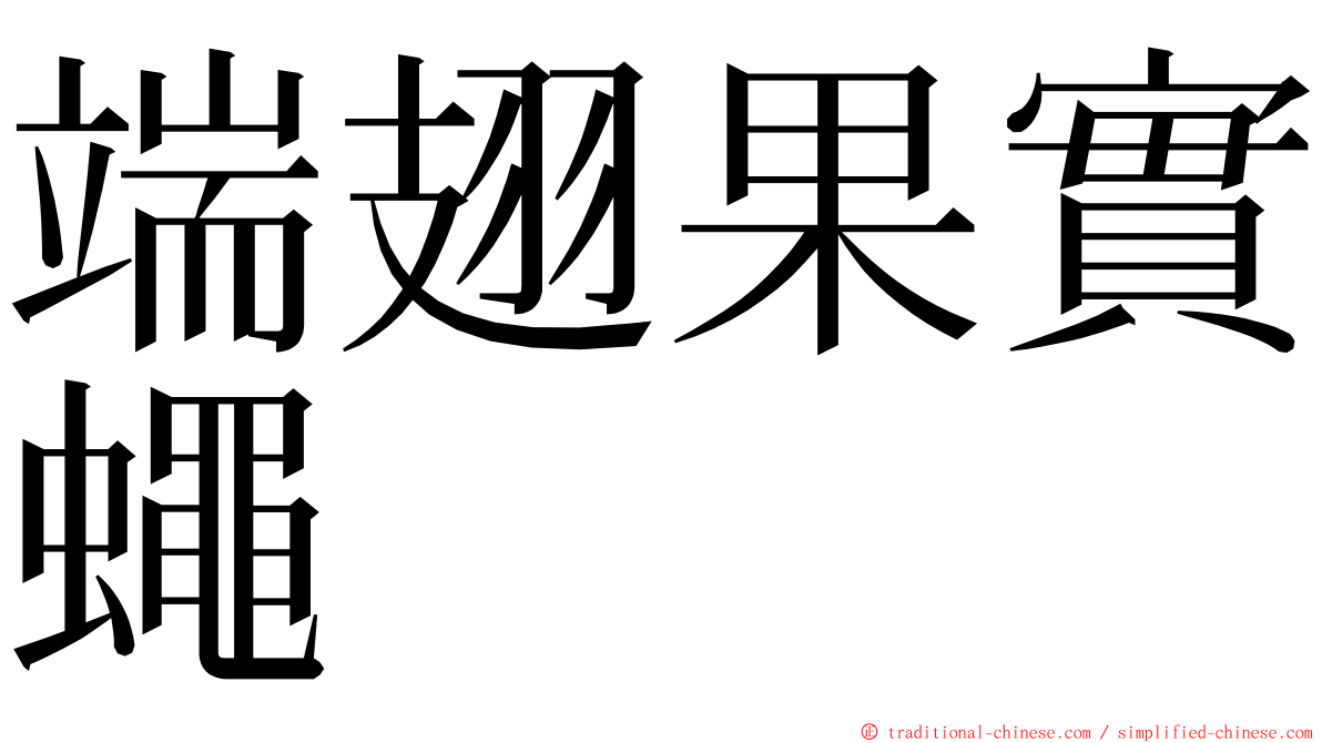 端翅果實蠅 ming font