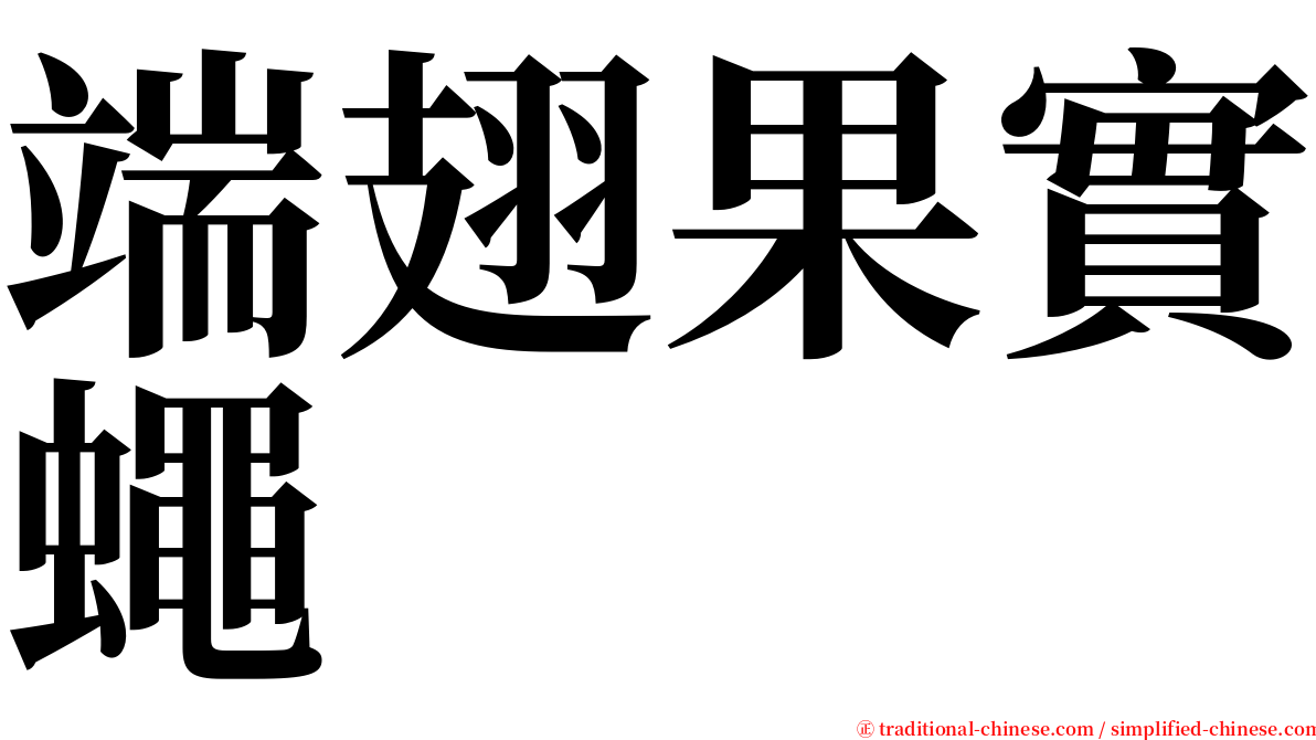 端翅果實蠅 serif font