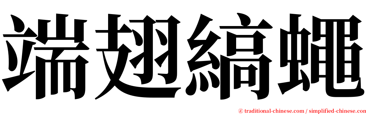 端翅縞蠅 serif font