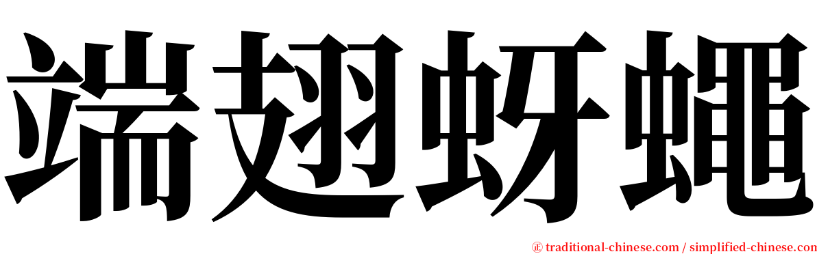 端翅蚜蠅 serif font